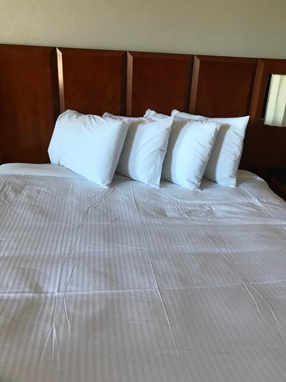 Extend-A-Suites Phoenix Eksteriør bilde